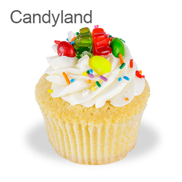 Poundcups  - 6 pack